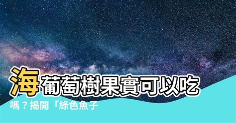 海葡萄樹果實可以吃嗎